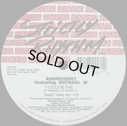 画像1: 【SALE】ANDROGENY feat. MICHAEL M/I COULD BE THIS...