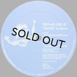 【SALE】B.M.R with LEVEL 42/STARCHILD