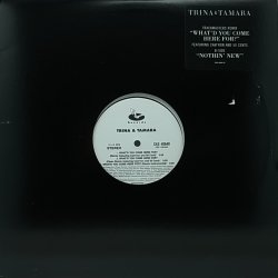 画像1: 【SALE】TRINA & TAMARA/WHAT'D YOU COME HERE FOR?-TRACKMASTERS REMIX-