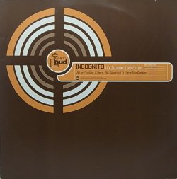 画像1: 【SALE】INCOGNITO/LIFE STRANGER THAN FICTION