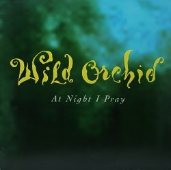 画像1: WILD ORCHID/AT NIGHT I PRAY