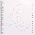 V.A./LIFETIME BOOGIE INITIATION【ダウンロードカード付き】