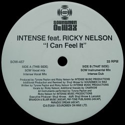 画像1: 【SALE】INTENSE feat. RICKY NELSON/I CAN FEEL IT