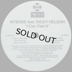 画像1: 【SALE】INTENSE feat. RICKY NELSON/I CAN FEEL IT