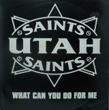 【SALE】UTAH SAINTS/WHAT CAN YOU DO FOR ME