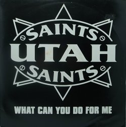 画像1: 【SALE】UTAH SAINTS/WHAT CAN YOU DO FOR ME