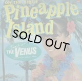 【SALE】THE VENUS/PINEAPPLE ISLAND