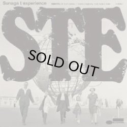 画像1: SUNAGA T EXPERIENCE/色彩のブルース