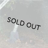 【SALE】GABE CATANZARO/SYNTHIE POP DELIGHTS