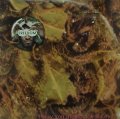 TWIGY, YOU THE ROCK & KEYCO/FREEDOM