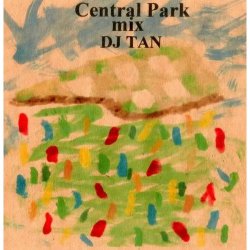 画像1: DJ TAN/CENTRAL PARK MIX