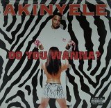 AKINYELE/DO YOU WANNA?