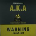 【SALE】A.K.A./WARNING TODD TERRY MIXES