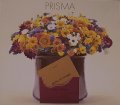 PRISMA/PRISMA