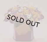 PRISMA/PRISMA