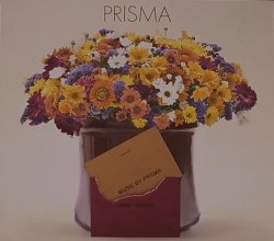 画像1: PRISMA/PRISMA