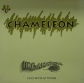 【SALE】URBANATOR/CHAMELEON