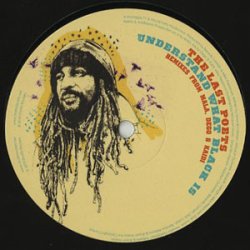 画像1: 【SALE】THE LAST POETS/Understand What Black Is (Remixes)