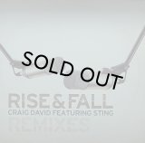 CRAIG DAVID/RISE & FALL REMIXES