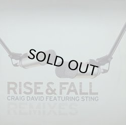 画像1: CRAIG DAVID/RISE & FALL REMIXES