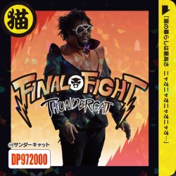 画像1: THUNDERCAT/FINAL FIGHT