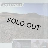 THE WASTELANZ/FUND OUT