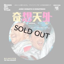 画像1: JOAO DONATO E DONATINHO/SURREAL (JAPAN EDITION)
