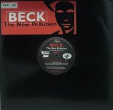 BECK/THE NEW POLLUTION