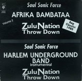 AFRICA BAMBAATAA/ZULU NATION THROW DOWN