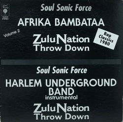 画像1: AFRICA BAMBAATAA/ZULU NATION THROW DOWN