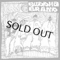 BUDDHA BRAND/これがブッダブランド!