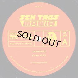 画像1: SKATEBARD / CRYSTAL BOIS / CONGA (LIVE AT SKURKEKLUBBEN)