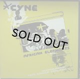 CYNE/AFRICAN ELEPHANTS