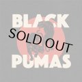 BLACK PUMAS/BLACK PUMAS