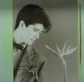 山本達彦/ROMANTIC VIEW