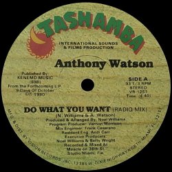 画像1: ANTHONY WATSON/DO WHAT YOU WANT
