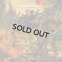 CAMARAO ORKESTRA/NACAO AFRICA