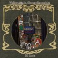 DJ CASIN/Wallow Attack,Obscure Necessities