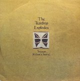 THE TEARDROP EXPLODES/TREASON(IT'S JUST A STORY)