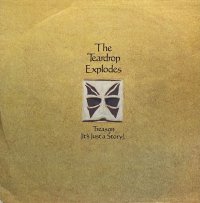 THE TEARDROP EXPLODES/TREASON(IT'S JUST A STORY)