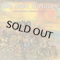 V.A./ONE NIGHT IN PELICAN - AFRO MODERN DREAMS 1974-1977