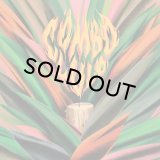 COMBO LULO/NEOTROPIC DREAM