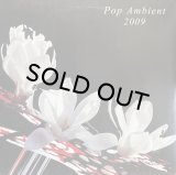 V.A./POP AMBIENT 2009