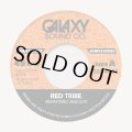 V.A./RED TRIBE EDITS (RE MASTERED) / PEACEFUL
