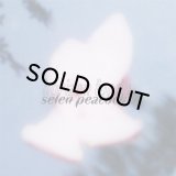 SELEN PEACOCK/HORIZON FONDU