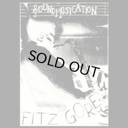 画像1: FITZGORE/SOUND MUSICATION