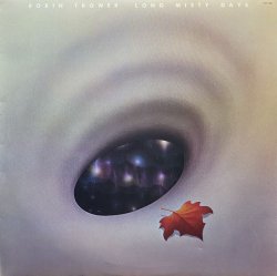 画像1: ROBIN TROWER/LONG MISTY DAYS