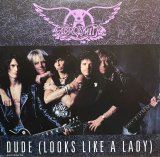 AEROSMITH/DUDE(LOOKS LIKE A LADY)