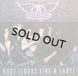 AEROSMITH/DUDE(LOOKS LIKE A LADY)