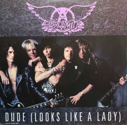 画像1: AEROSMITH/DUDE(LOOKS LIKE A LADY)